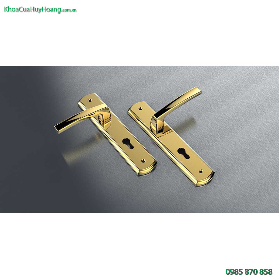 Khóa cửa chính bằng đồng mạ vàng TNHC8568-PVDGO