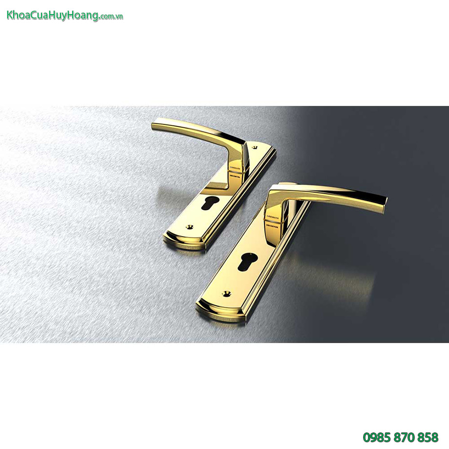 Khóa cửa chính bằng đồng mạ vàng TNHC8568-PVDGO