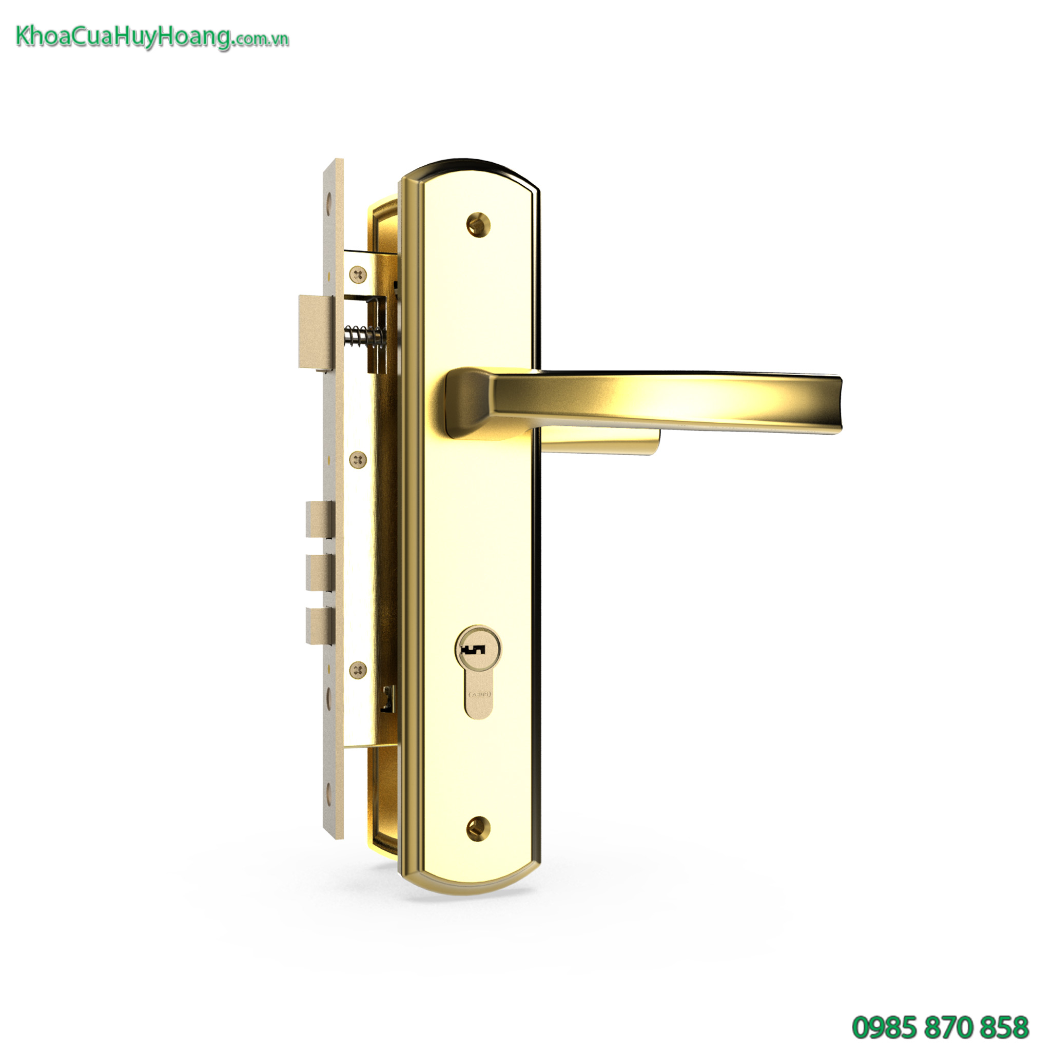 Khóa cửa chính bằng đồng mạ vàng TNHC8568-PVDGO