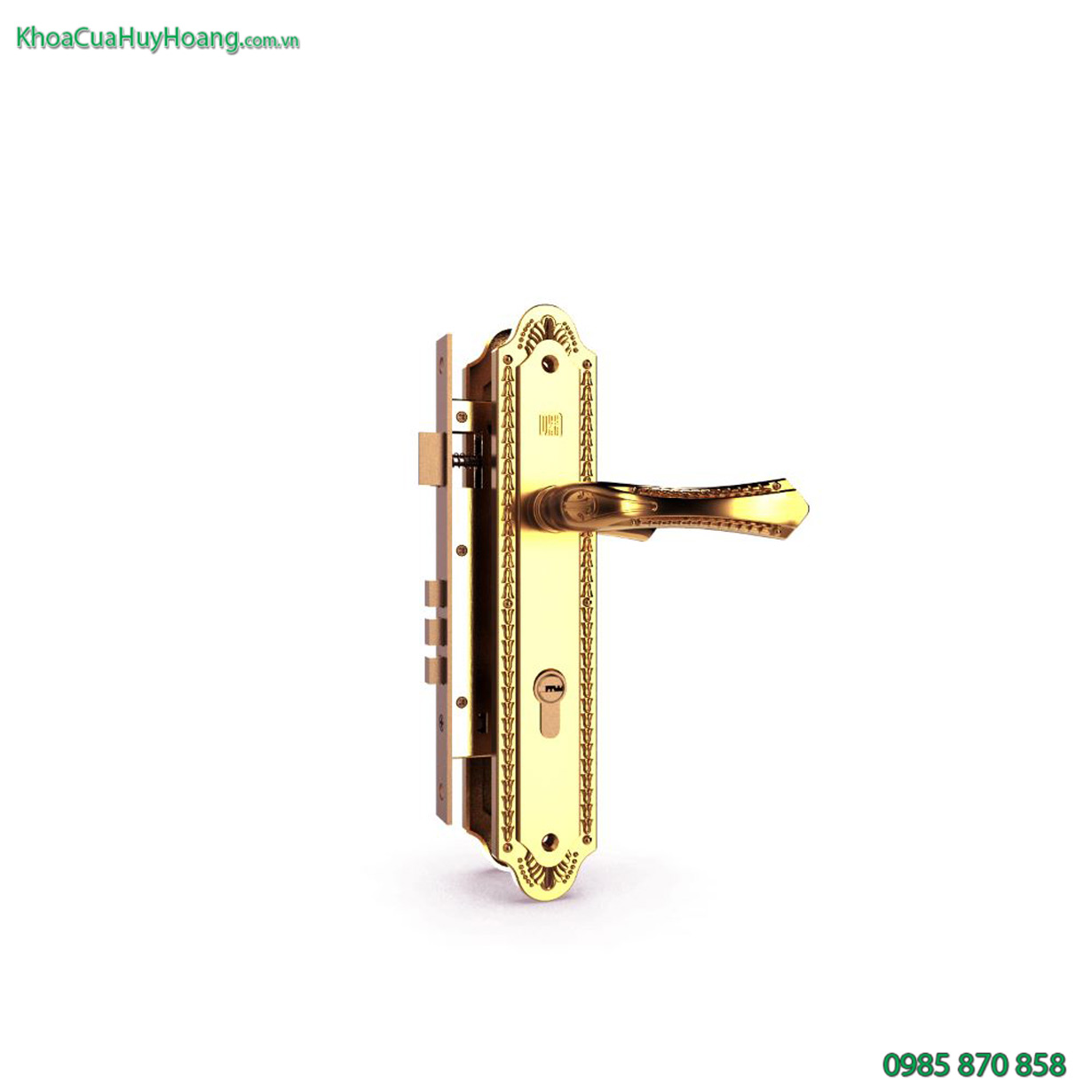 Khóa cửa chính mạ vàng TNHC8561-PVDGO