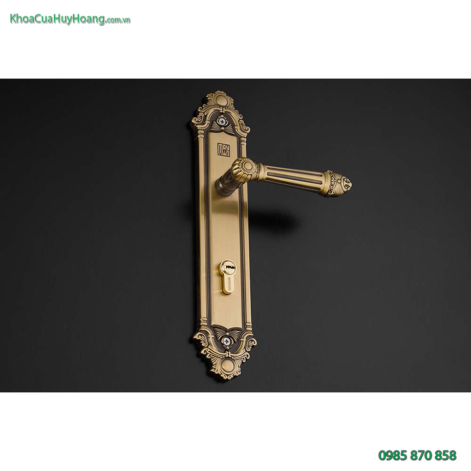 Khóa cửa đi màu đồng rêu TNHCR8526