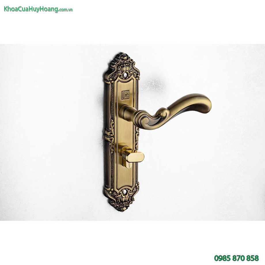 Khóa cửa phòng đồng rêu TNHCR5829