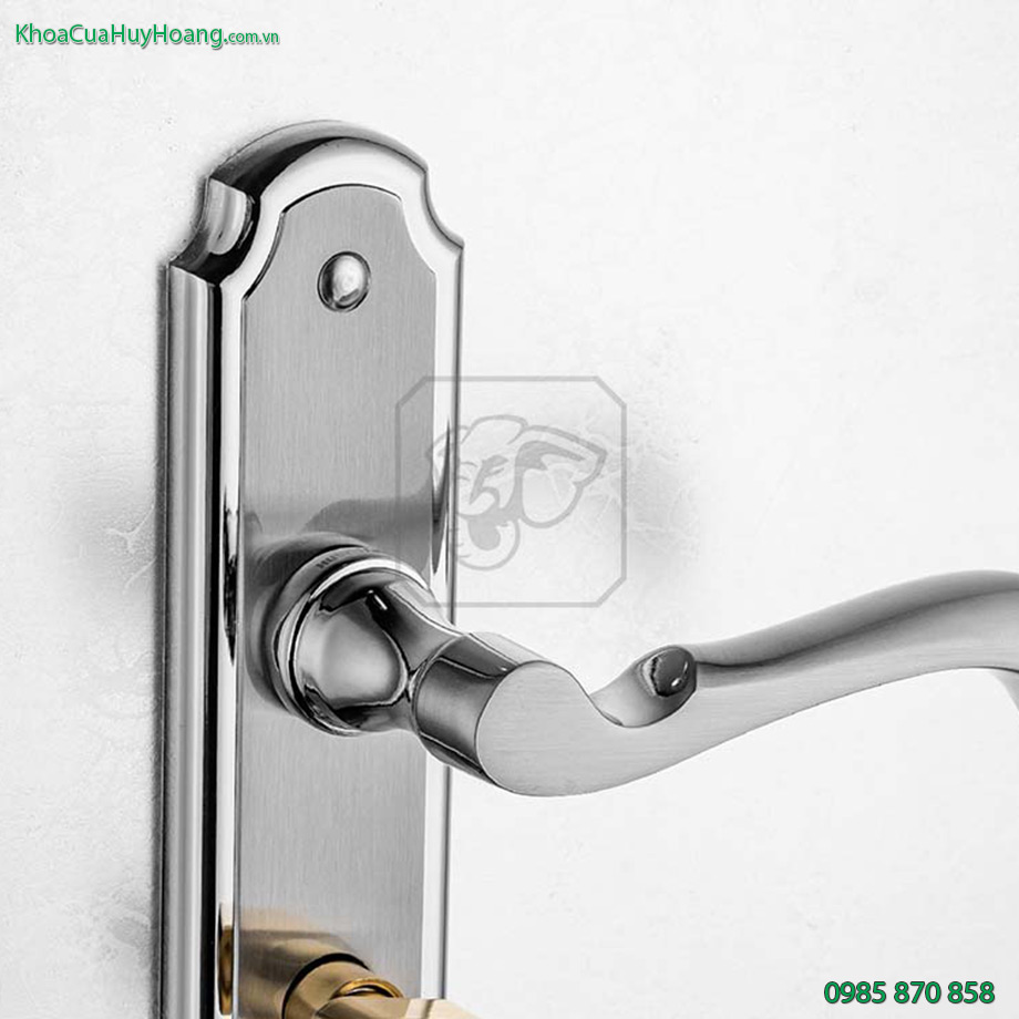 Khóa cửa phòng màu bạc TNEX5835-MVD