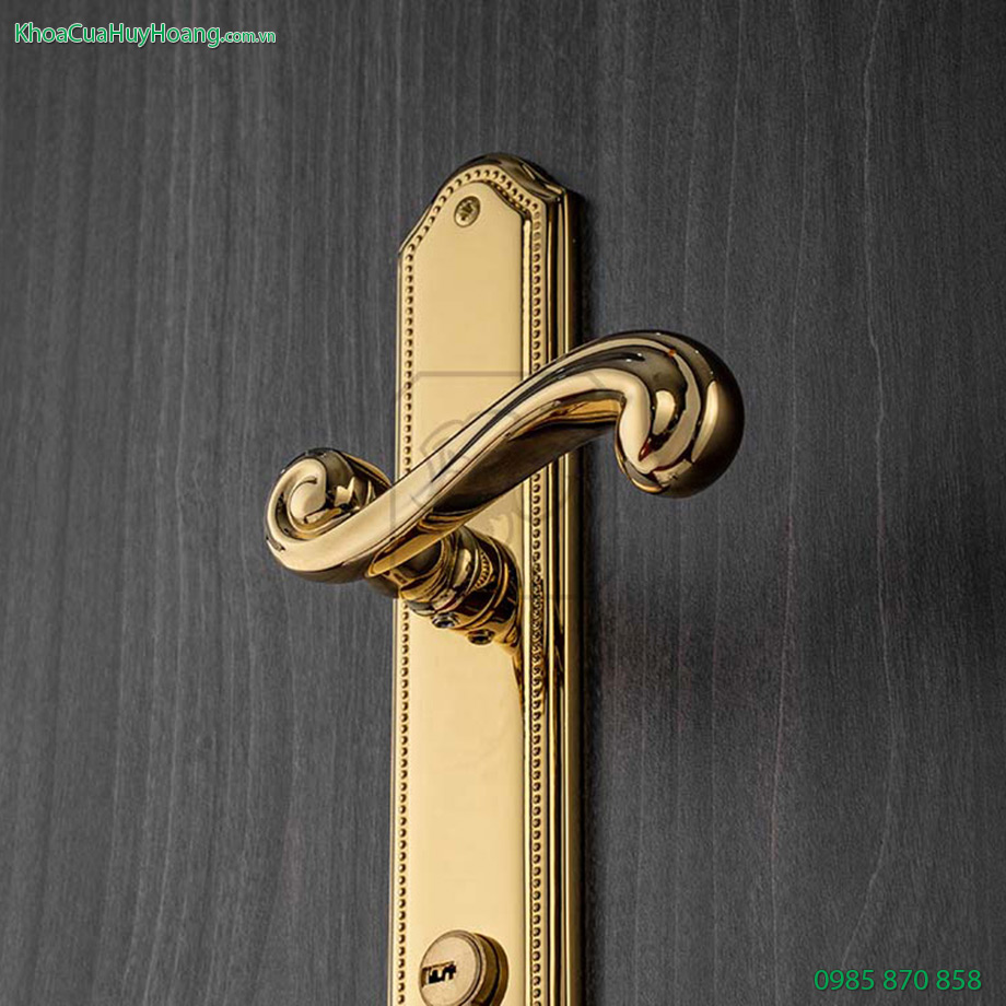 Khóa cửa chính bằng đồng Prince TNHC85P-PVDGO