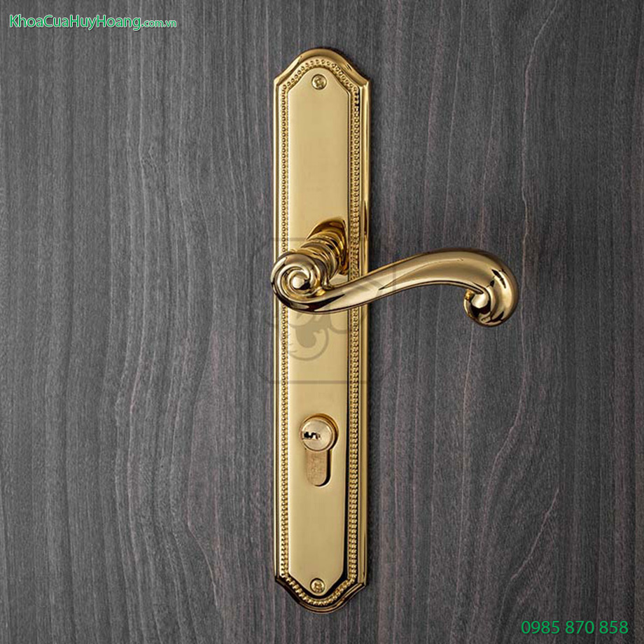 Khóa cửa chính bằng đồng Prince TNHC85P-PVDGO