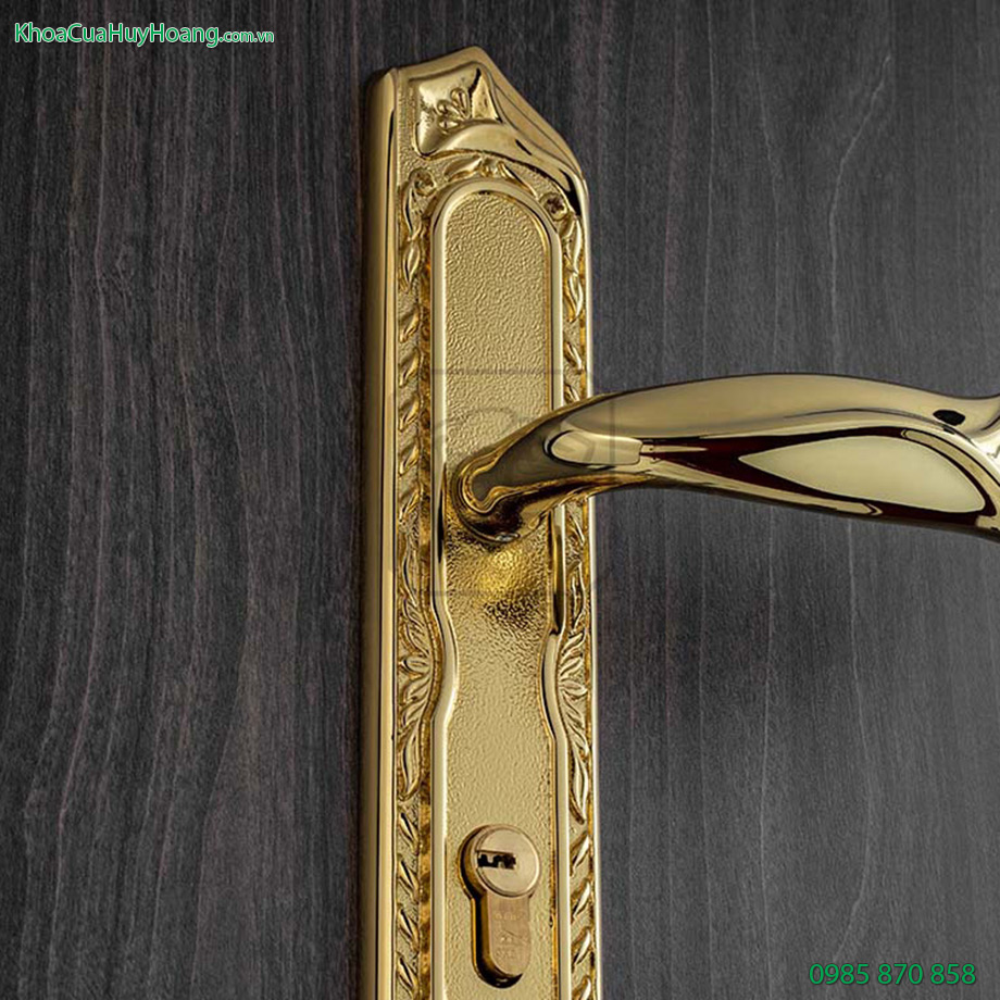 Khóa cửa chính bằng đồng Queen TNHC85Q-PVDGO