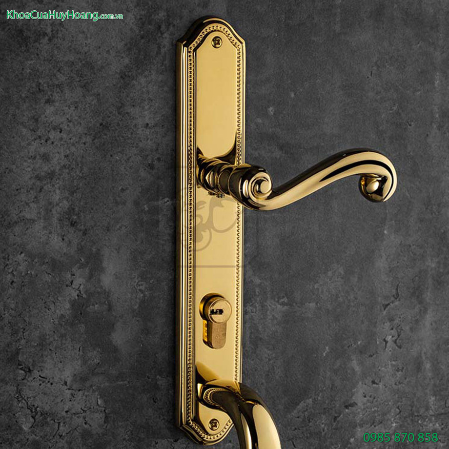 Khóa đồng đại sảnh Prince TNHC85PDS-PVDGO