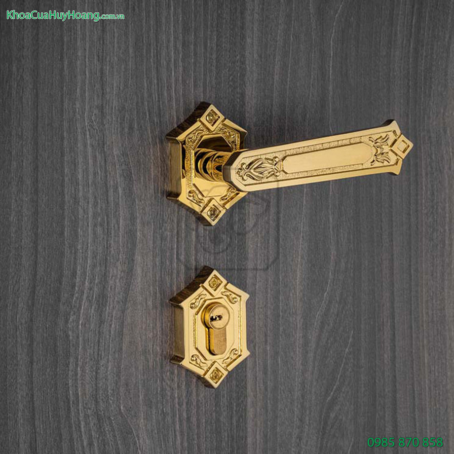 Khóa đồng phân thể cửa chính King TNPTHC85K-PVDGO