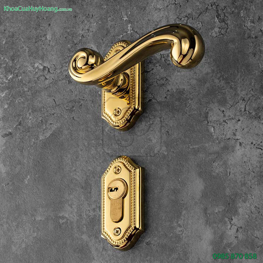 Khóa đồng phân thể cửa chính Prince TNPTHC85P-PVDGO