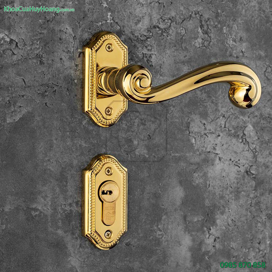 Khóa đồng phân thể cửa chính Prince TNPTHC85P-PVDGO
