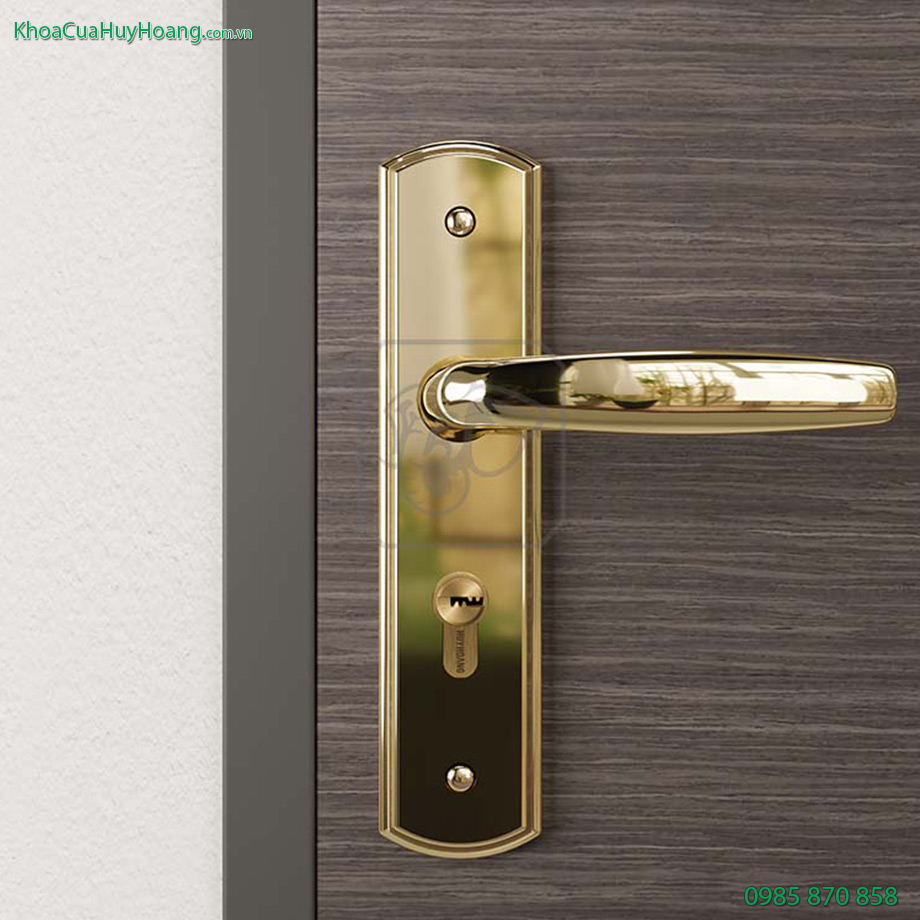Khóa thông phòng đồng vàng gold TNHC5866-PVDGO