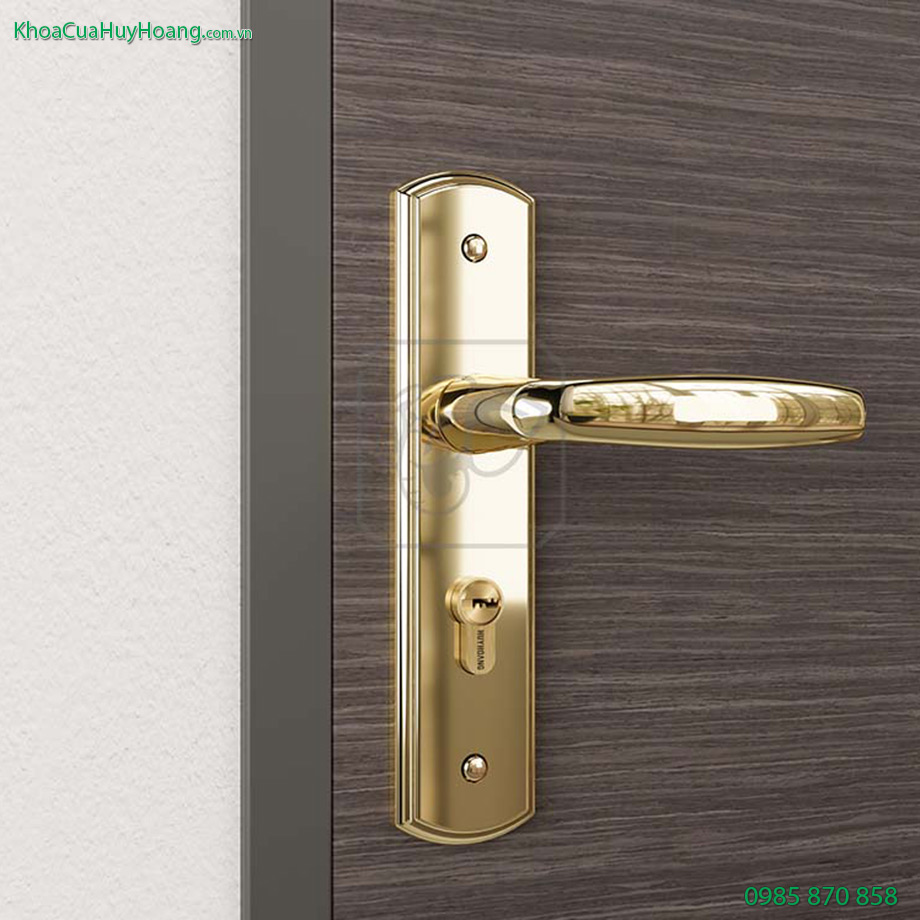 Khóa thông phòng đồng vàng gold TNHC5866-PVDGO